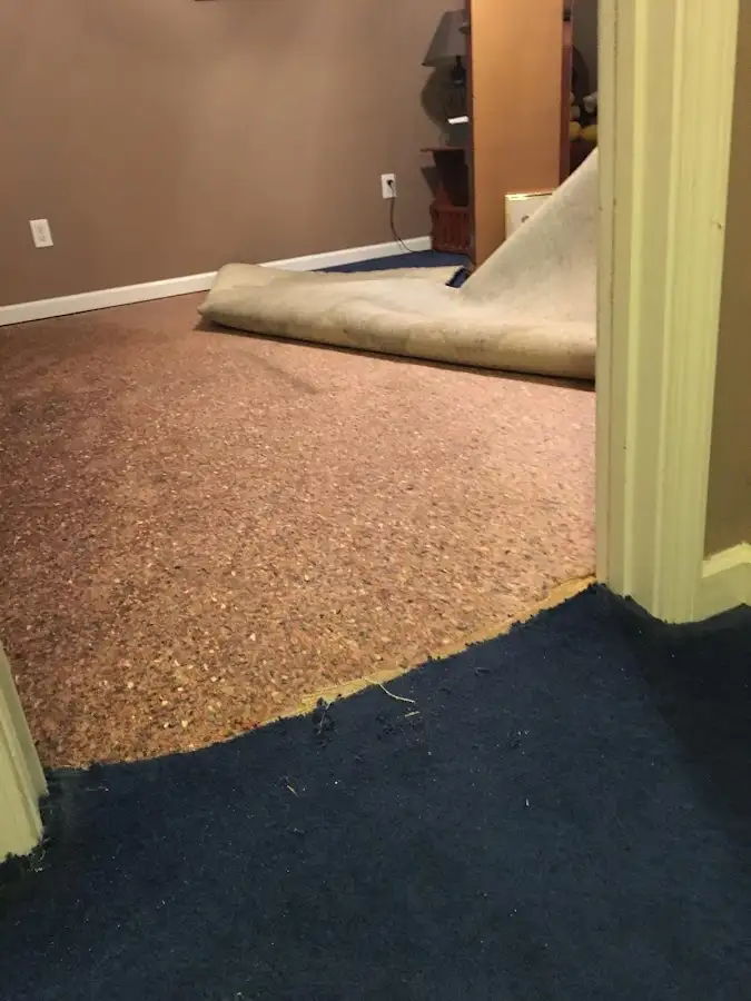 Carpet pad removal revealing water damage during Water Mitigation Services in Chickasaw