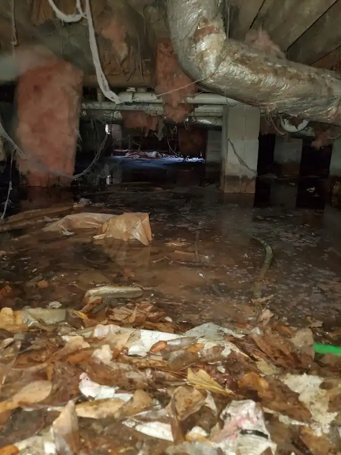 Crawl space flood assessment for Leak Detection & Repair in Chickasaw